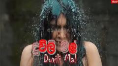 Duvili