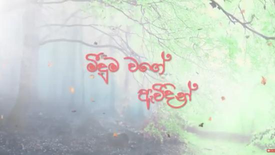 Meeduma Wage Awidin Teledrama - Full Episodes on YouTube